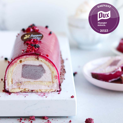 RASPBERRY AND CRANBERRY YOGURT CHRISTMAS LOG